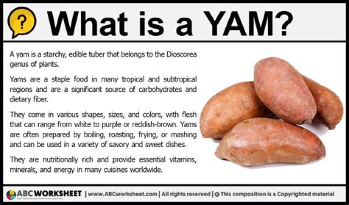 Where does the word yam come from?