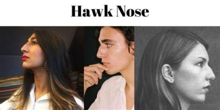 Where is hawk nose?