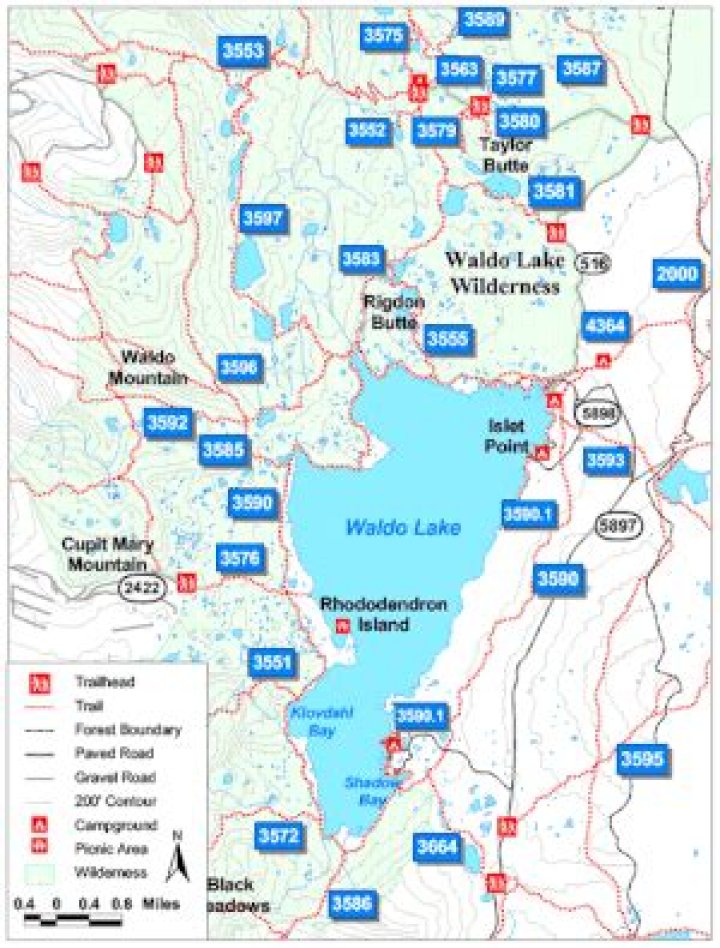 Where is waldo lake?