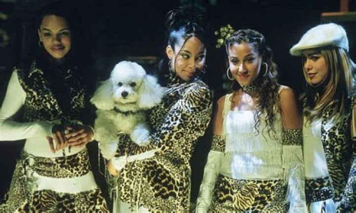 Where was amigas cheetahs filmed?