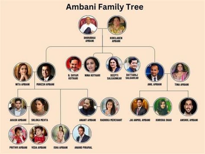 Which ambani is elder?