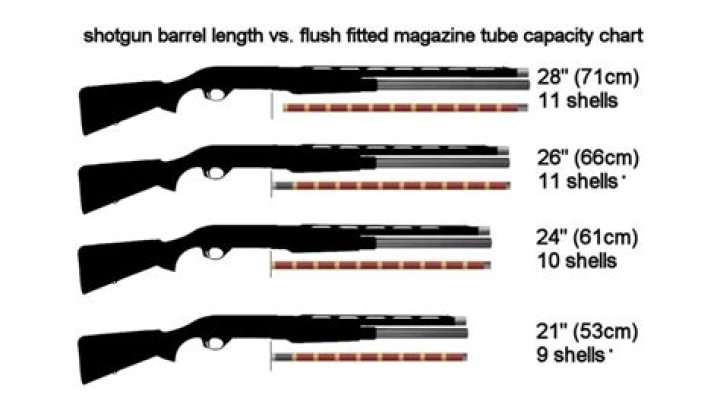 Which barrel length shotgun?