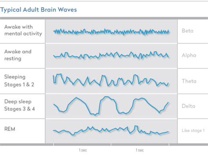 Which brainwave is best for sleeping?