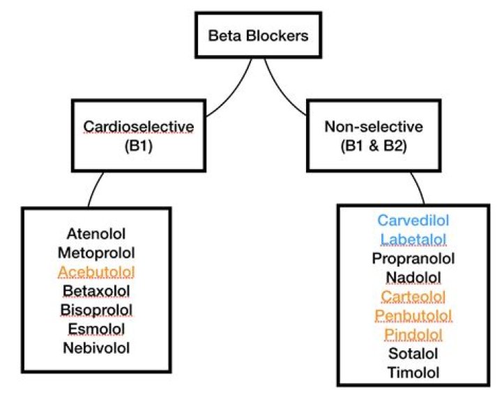 Which drugs are beta blockers?