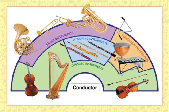 Which instruments are transposing instruments in the orchestra?