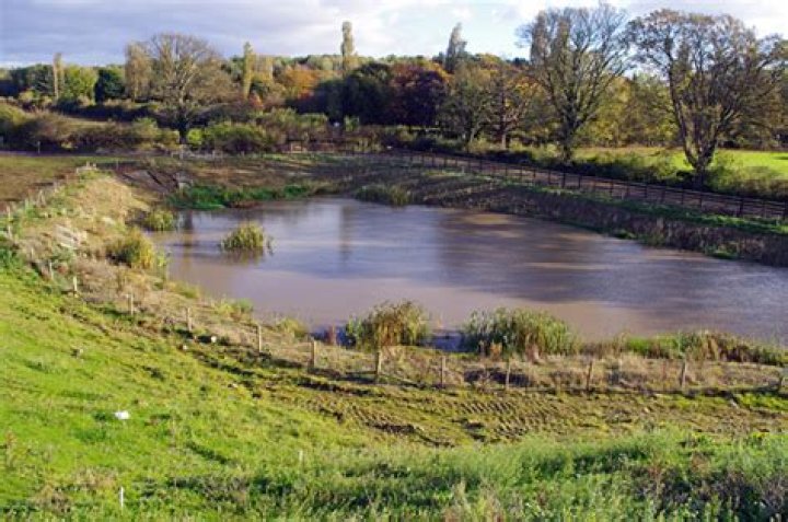 Which is an attenuation pond?