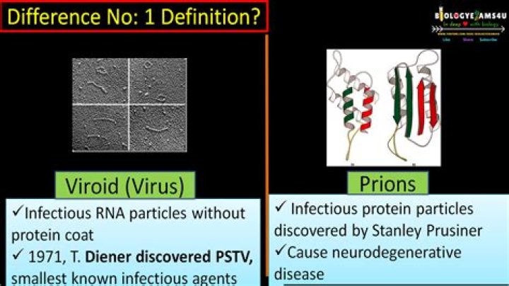 Which is smaller prion or viroid?
