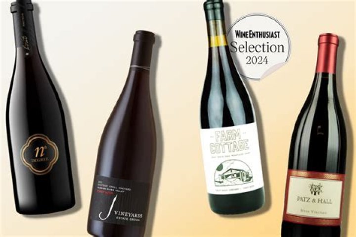 Which is the best pinot noir wine?