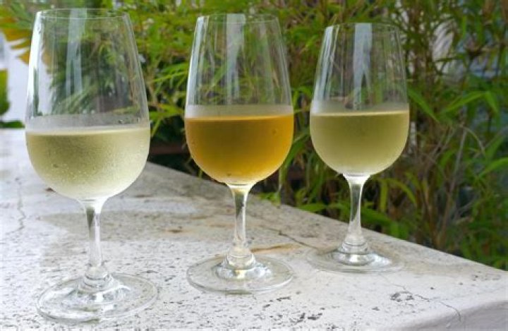 Which italian wine is full bodied?