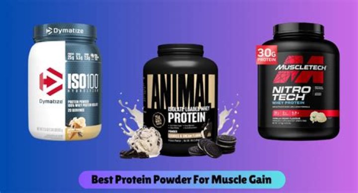 Which protein powder is best for muscle gain?