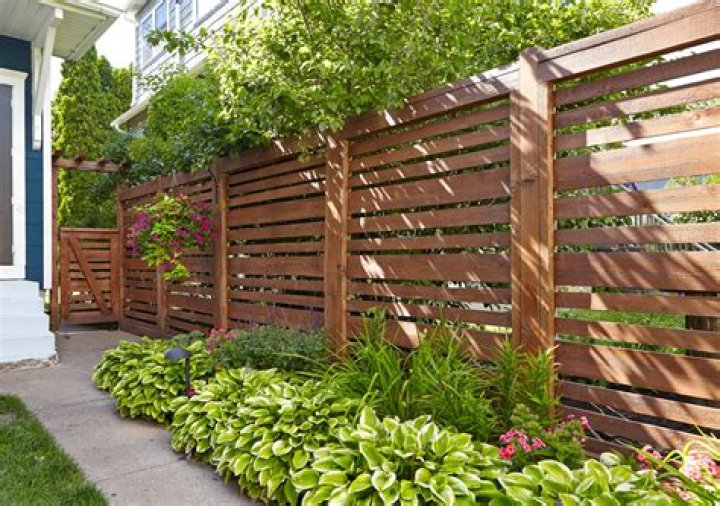 Which wood for fencing?