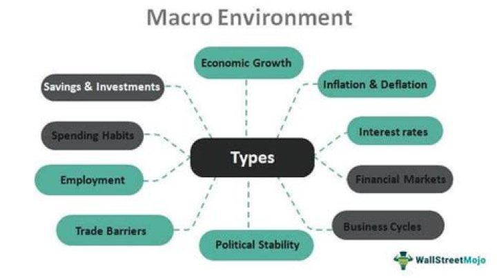 Who are the macro environment?