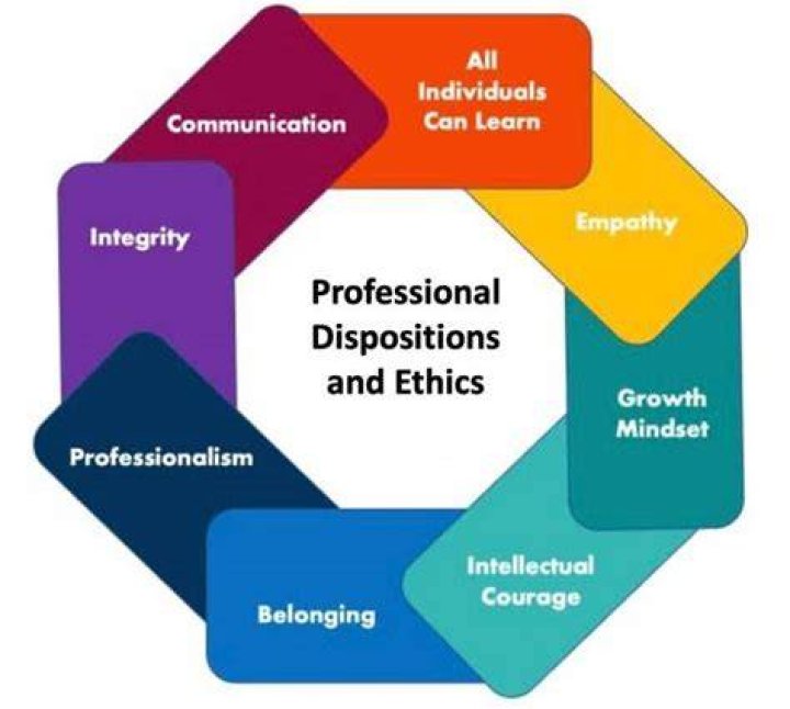 Who assesses professional dispositions?