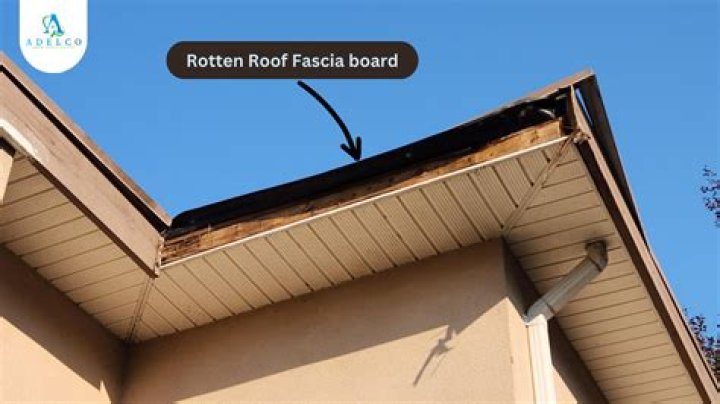 Who does fascia repair?