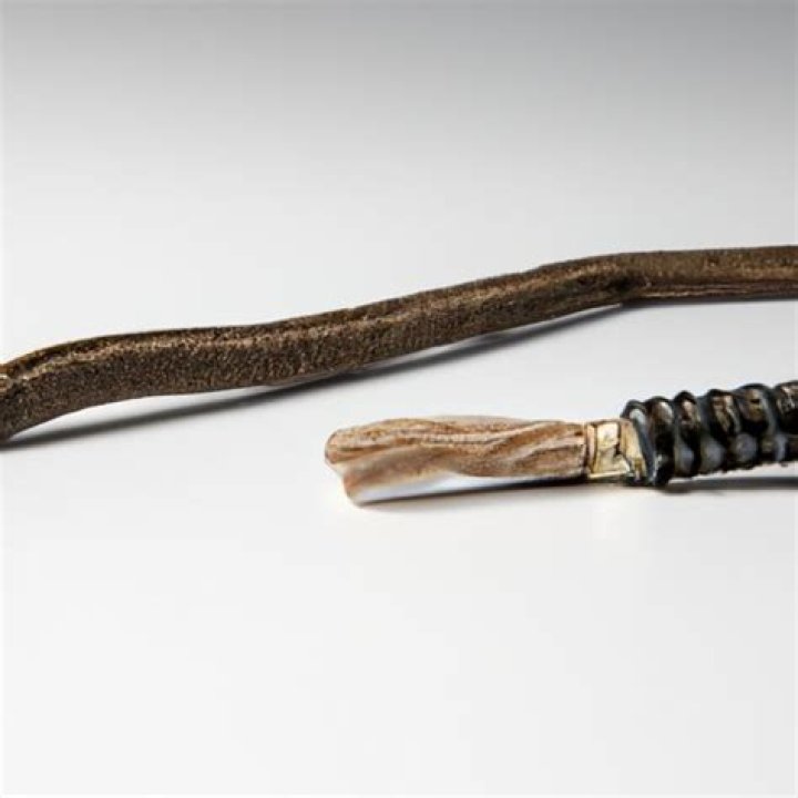 Who invented the aglet?