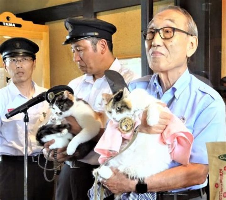 Who is cat stationmaster?