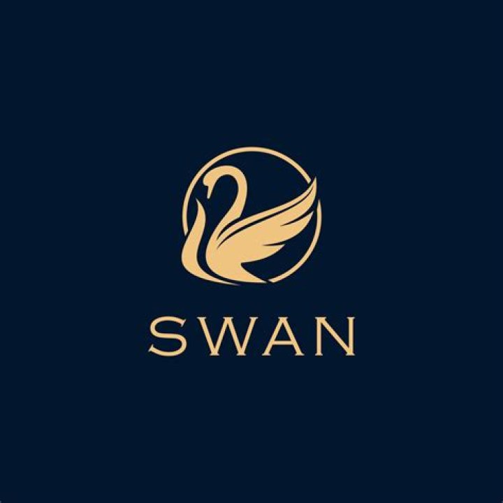 Who is swan logo?