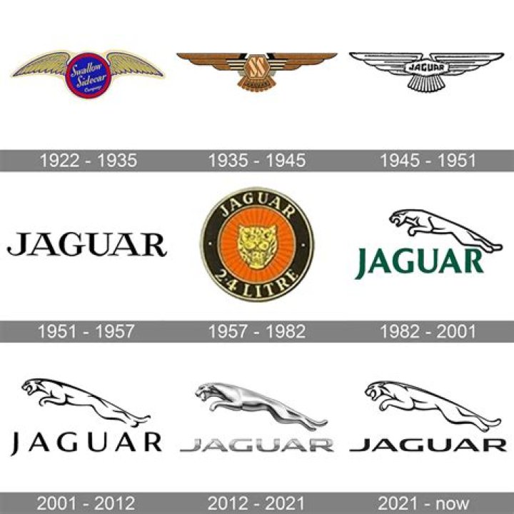 Who owns the jaguar brand?