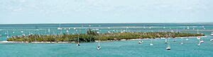 Who owns wisteria island?