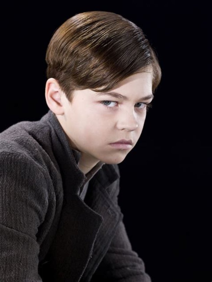 Who plays young tom riddle?