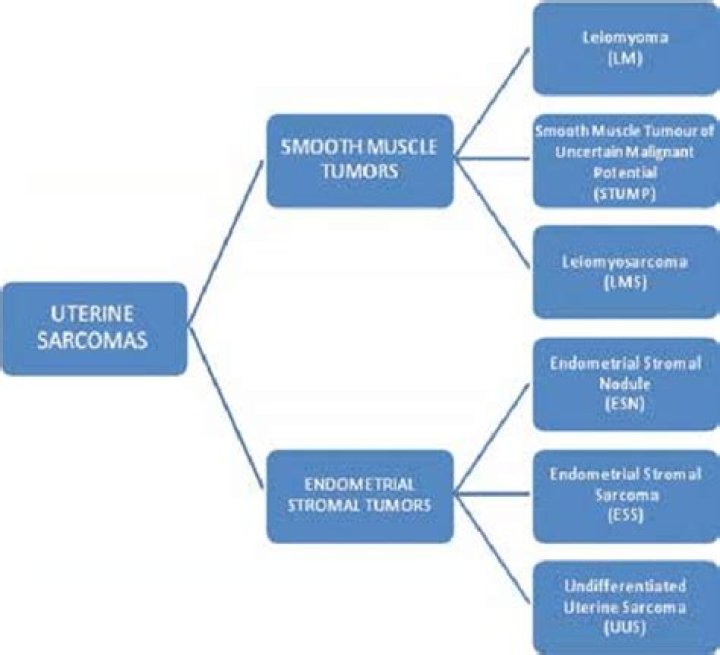 Who uterine sarcoma classification?