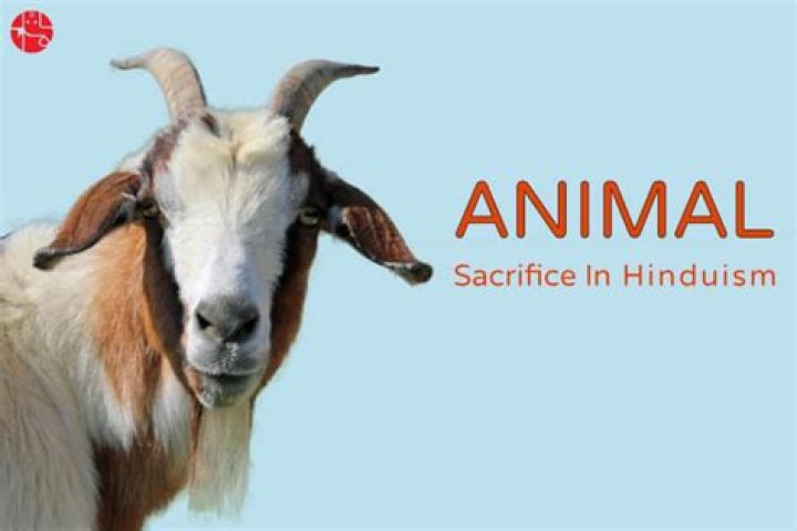 Why animal sacrifice in hinduism?