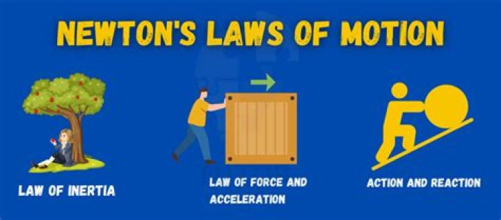 Why are newton's laws important?