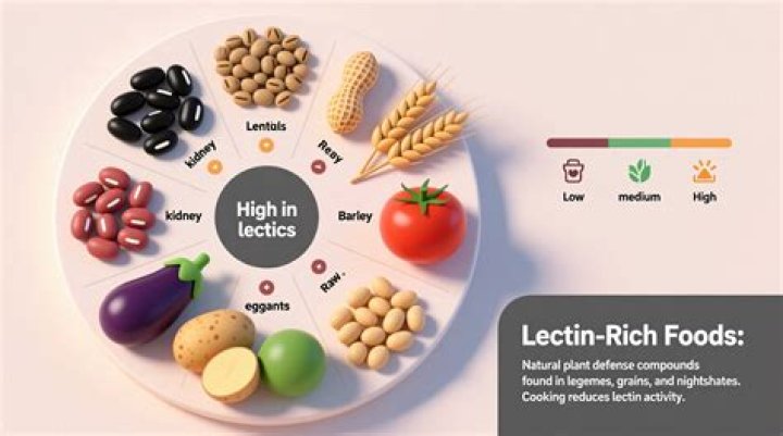 Why do lectins cause weight gain?