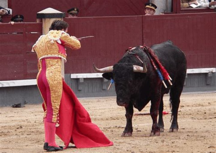 Why do matadors use red?