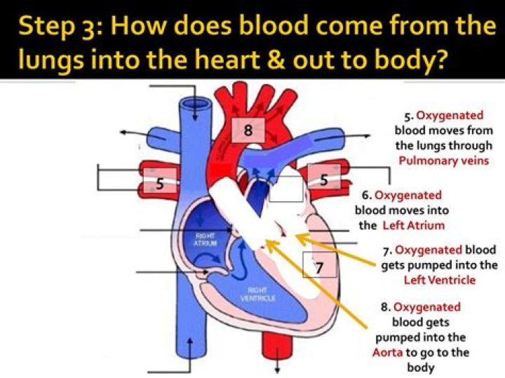 Why does blood comes from latrine?