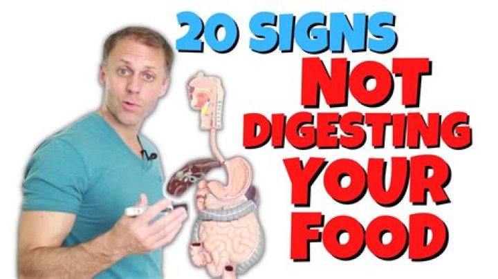Why fibers are not digested?