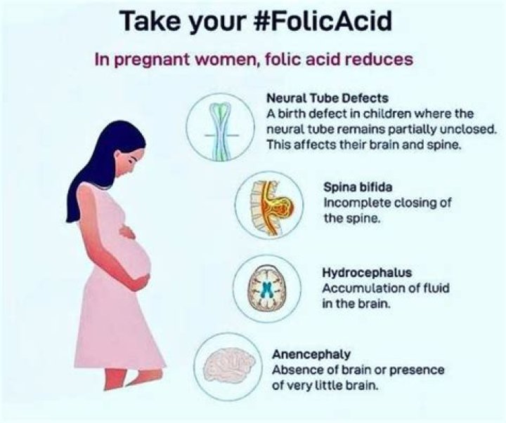 Why folic acid needed during pregnancy?
