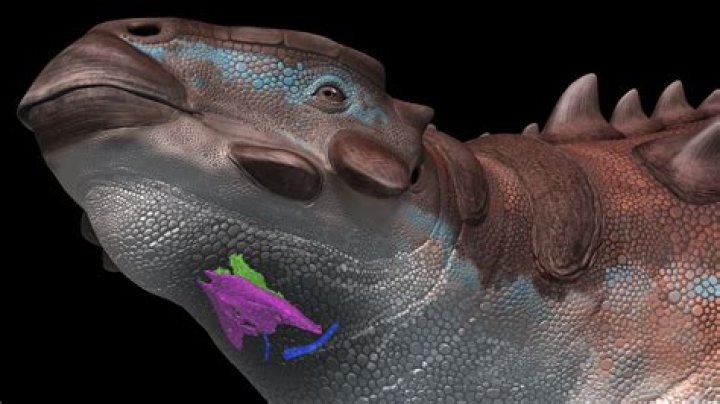 Why is it called a borough?