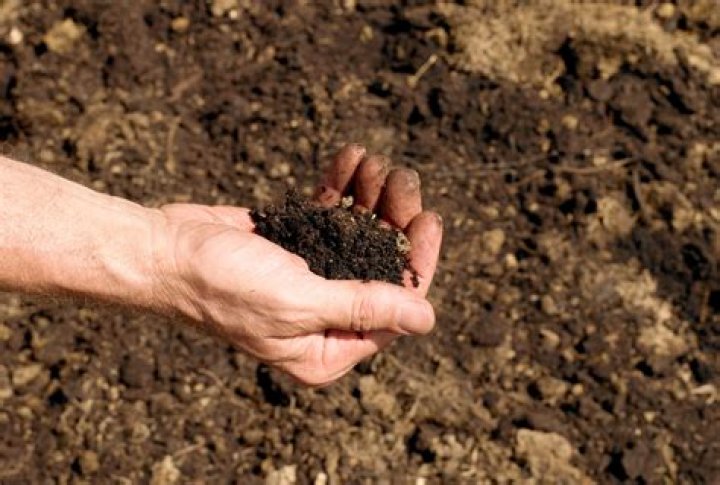 Why is loam soil called the best soil?