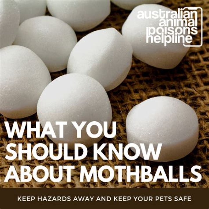 Why is mothballs dangerous?