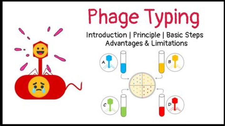 Why is phage typing an important clinical tool?