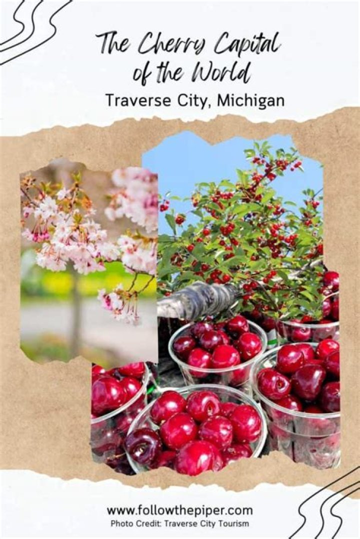 Why is traverse city the cherry capital?