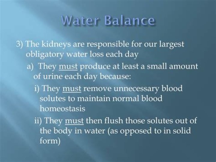 Why obligatory water loss?