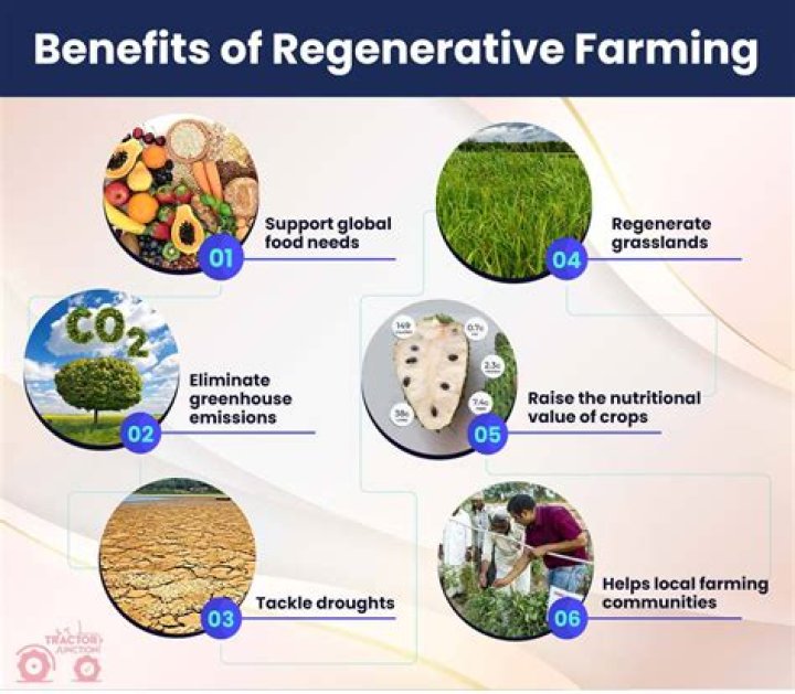 Why regenerative agriculture is the future of sustainable food?