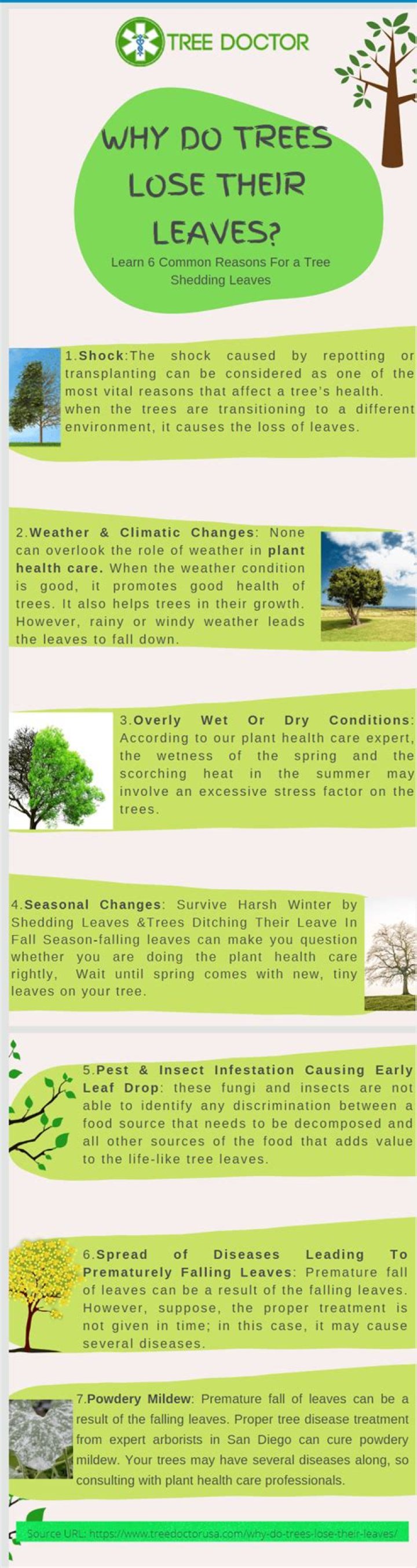 Why trees lose their leaves in winter?