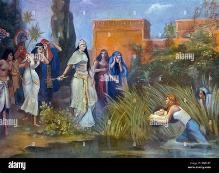 Why was moses hidden in the bulrushes?